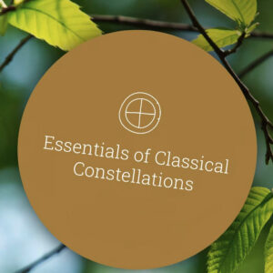 Essentials of Classical Constellations by Tanja Meyburgh and Anél Hamersma